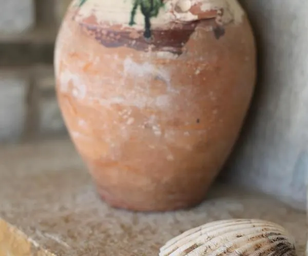 Aithra -agios Petros Andros Σπίτι διακοπών