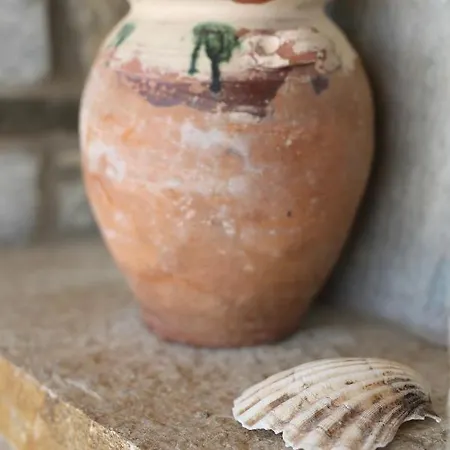 Aithra -agios Petros Andros Ferienhaus