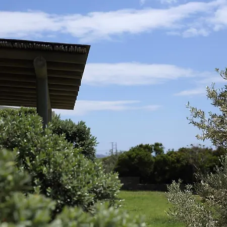 Aithra -agios Petros Andros