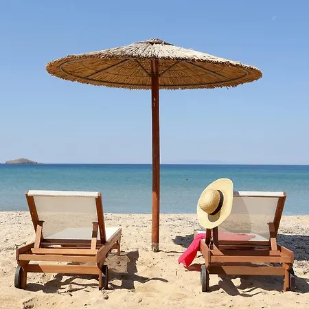 Aithra -agios Petros Andros Holiday home *