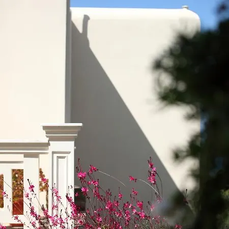 Aithra -agios Petros Andros *