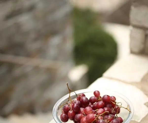 Aithra -agios Petros Andros * Gavrio